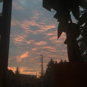 Meet your Posher, Romy